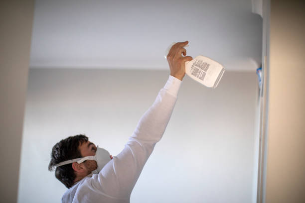 Best Mold Cleaning Services  in Ravensworth, VA