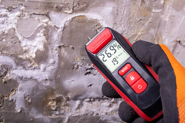 Best Water Damage Restoration  in Ravensworth, VA