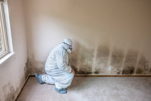 Water Damage Restoration in Ravensworth, VA